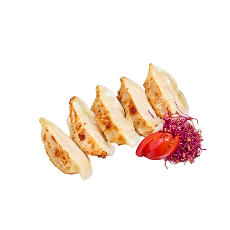 Gyoza von AYA