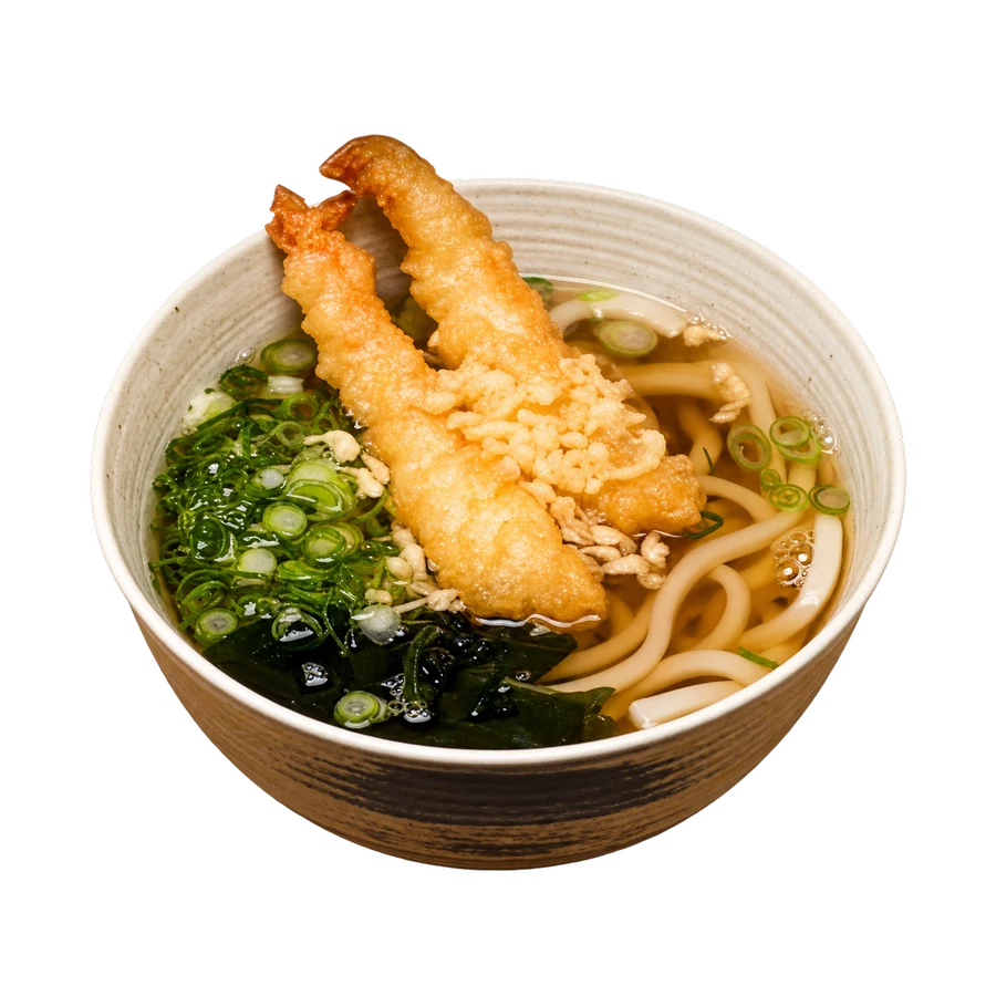 Tempura Udon von AYA